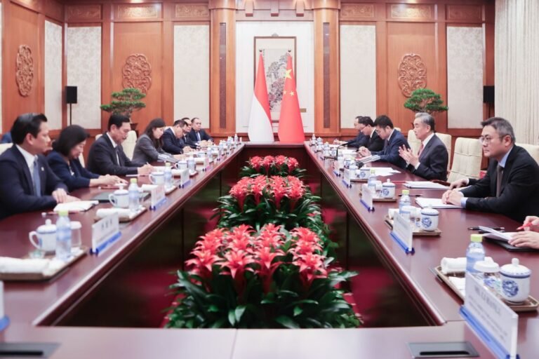 Danantara Buka Peluang Investasi di Kawasan ASEAN hingga China