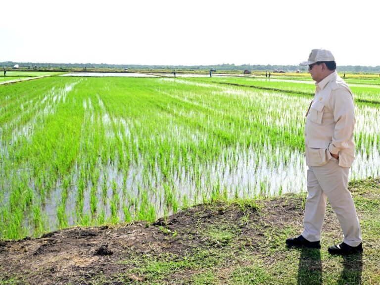 Menuju Ketahanan Pangan Total: Indonesia Siapkan Swasembada Gula, Telur, dan Daging Ayam 2026