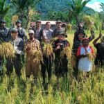 Pemerintah Perkuat Ketahanan Pangan Papua Berbasis Potensi Lokal dan Masyarakat Adat
