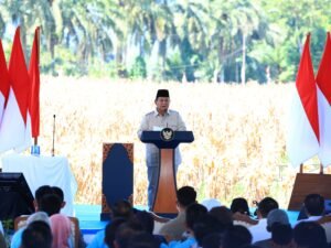 Pemerintah Tegaskan Komitmen Capai Swasembada Pangan Nasional Tahun 2026