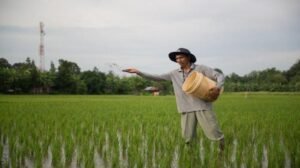 Kebijakan Terpadu Pemerintah Dorong Indonesia Mandiri Pangan