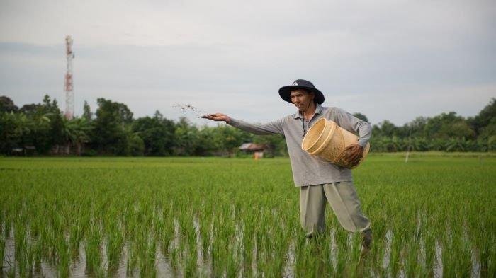 Kebijakan Terpadu Pemerintah Dorong Indonesia Mandiri Pangan
