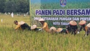 Pakar Ekonomi: Swasembada Pangan dan Energi, Fondasi Kemandirian Bangsa