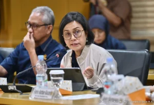 Regulasi Pajak Digital Siap Sasar Platform Asing