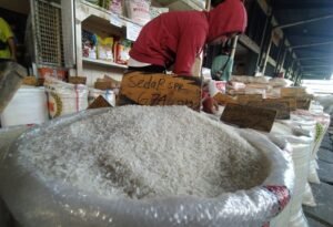 Stok Beras Capai 4 Juta Ton, Pemerintah Perkuat Program Swasembada Pangan