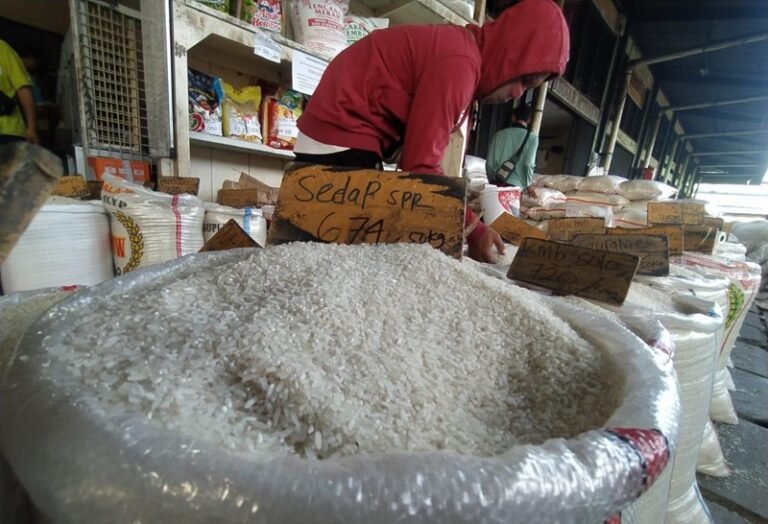 Stok Beras Capai 4 Juta Ton, Pemerintah Perkuat Program Swasembada Pangan