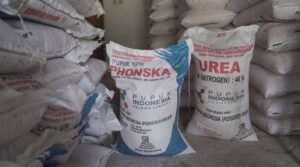 Distribusi Pupuk Kunci Kesuksesan Swasembada Pangan