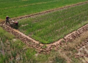 Ekonom Sebut Pemerintah Serius Wujudkan Swasembada Pangan dan Energi Kunci Kemandirian Nasional