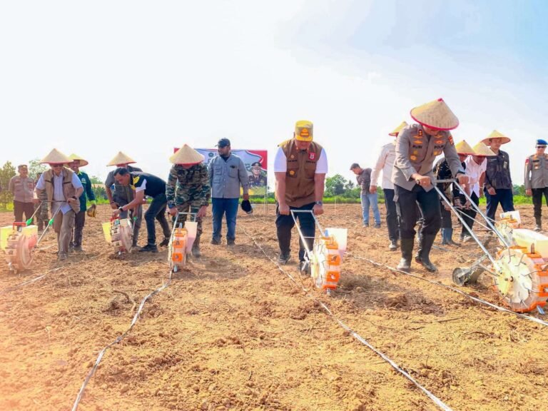 Pemerintah Perkuat Ketahanan Pangan Nasional Lewat Ekosistem MBG di Desa