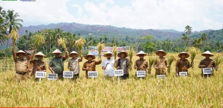 Pemerintah Perkuat Swasembada Pangan Lewat Anggaran Alsintan dan Subsidi Tepat Sasaran