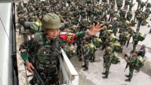 Penindakan OPM oleh Aparat Jadi Sinyal Tegas Negara Tidak Toleransi OPM