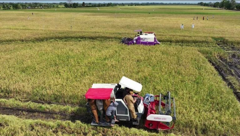 Program Swasembada Pangan Dorong Terciptanya Lapangan Kerja