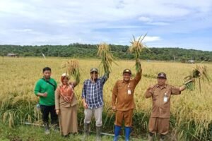 Upaya Mewujudkan Swasembada Pangan Tingkatkan Terciptanya Lapangan Kerja