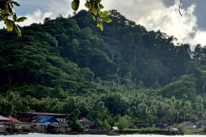 Pulau Gag Jadi Contoh Pertambangan Hijau, Pemerintah Perketat Mitigasi Lingkungan
