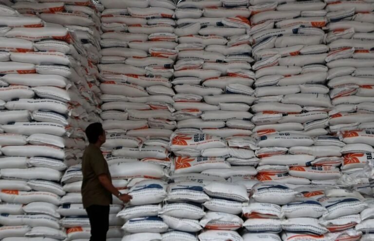 Pemerintah Umumkan Segera Capai Swasembada Pangan 3 Bulan ke Depan