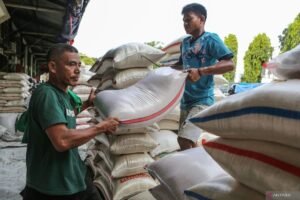 Pemerintah Sampaikan Kedaulatan Pangan Akhir 2025