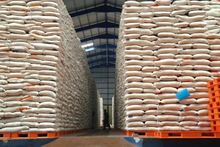 Pemerintah Dorong Swasembada Pangan dengan Reformasi Pupuk dan Irigasi