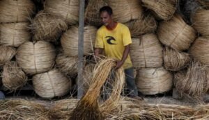 Pemerintah Dorong Hilirisasi Rotan untuk Perkuat Industri Nasional