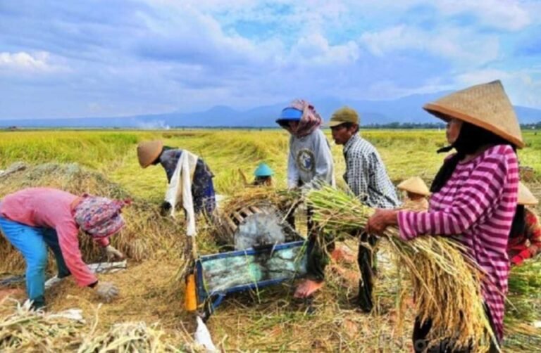 Percepatan Pembangunan Infrastruktur Irigasi Bantu Wujudkan Swasembada Pangan