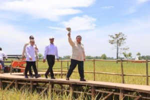 Swasembada Pangan 2025: Komitmen Presiden Prabowo Wujudkan Ketahanan Nasional