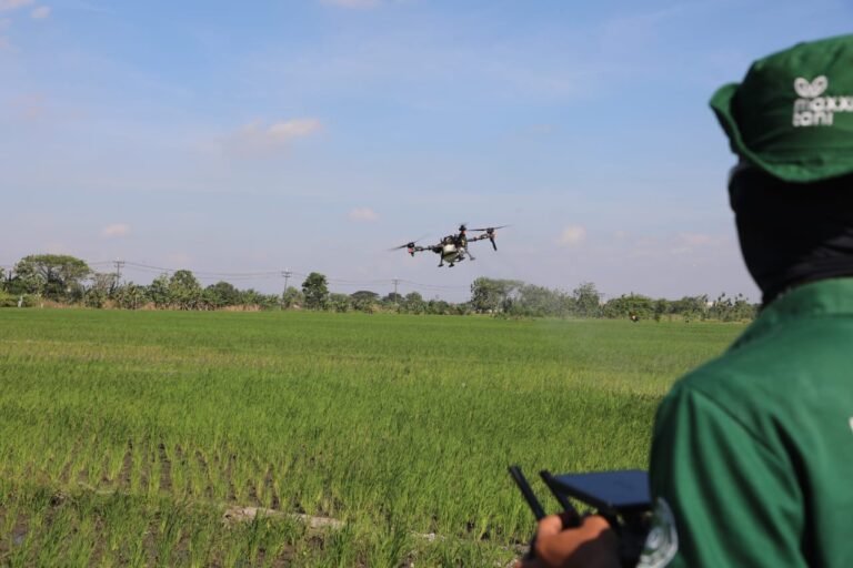 Akademisi IPB: AI dan Big Data Kunci Pertanian Presisi untuk Swasembada Pangan