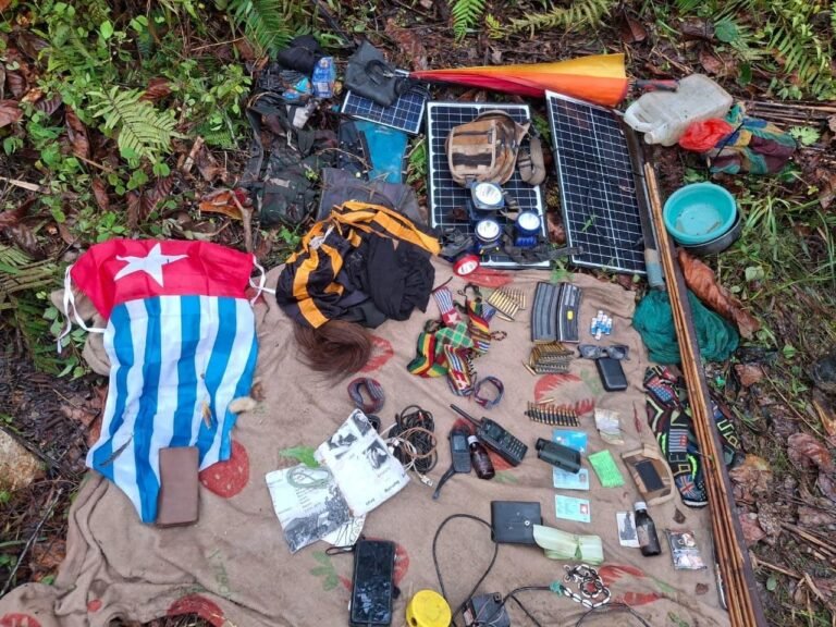 Tindakan Tegas Pemerintah Terhadap OPM Jadi Kunci Menjaga Stabilitas Keamanan Papua