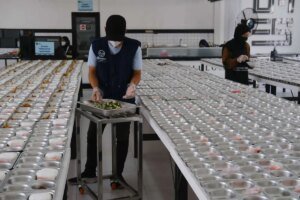 Kolaborasi Lintas Sektor Kunci Sukses Percepatan Program MBG