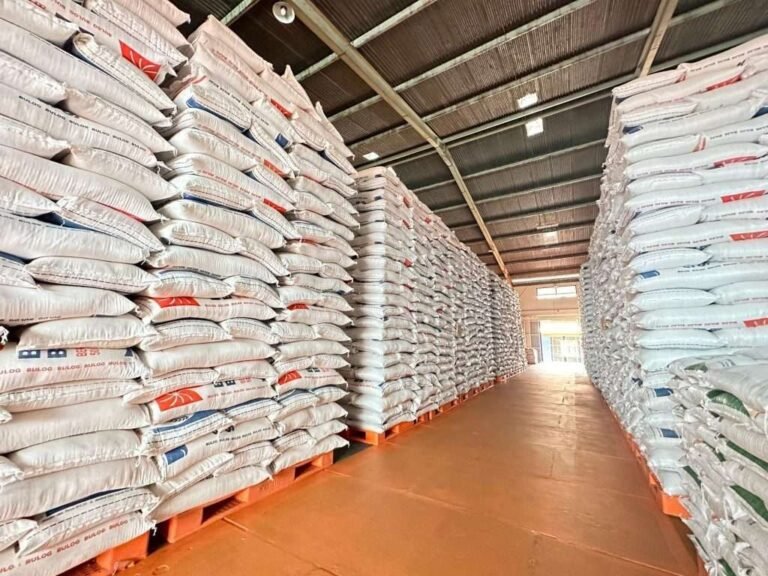 Cadangan Beras 3,8 Juta Ton, Bukti Nyata Indonesia Menuju Swasembada Pangan 2025