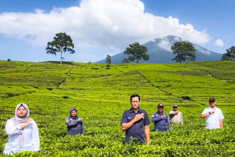 Value Chain Pangan: Peran Hilirisasi dalam Ketahanan Pangan Nasional