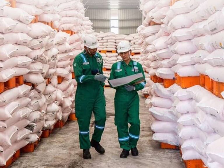 Pupuk Indonesia Amankan Bahan Baku Fosfat Global untuk Jaga Swasembada Pangan Berkelanjutan