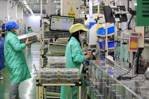 Swasembada Energi Dikebut, Pemerintah Siap Akhiri Impor Solar dan Avtur