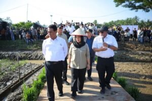 Skema Padat Karya dan Rehabilitasi Sawah Dipercepat untuk Pulihkan Penghidupan Pascabencana