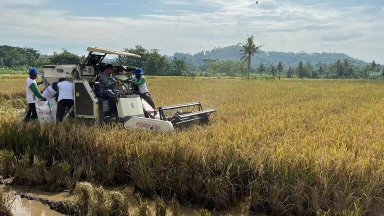 Pemerintah Perkuat Ekosistem Pertanian untuk Jaga Kedaulatan Pangan Nasional