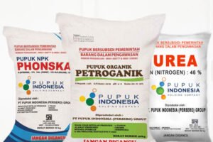 Alokasi Pupuk Subsidi, Sinyal Penguatan Agenda Swasembada Pangan