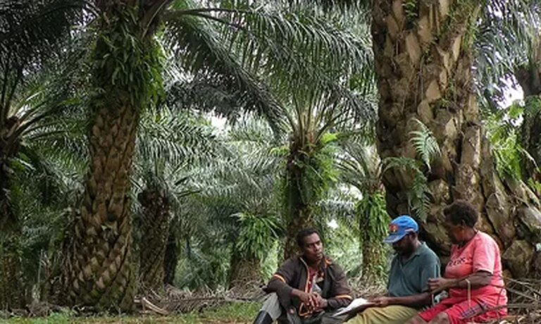 Papua dan Arah Baru Kebijakan Swasembada Energi Berkeadilan