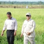 Pemerintah Perkuat Ekosistem Hilirisasi Pertanian