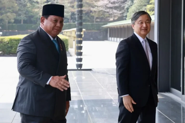 Strategi Diplomasi Presiden Perluas Akses UMKM ke Pasar Jepang di Tengah Kompetisi Global