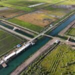 Di Tengah Tekanan Global, Swasembada Pangan Harus Dipercepat