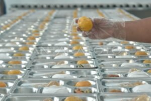 Temuan Bahan Pangan Tak Layak, Pemerintah Ambil Langkah Tegas Tutup SPPG