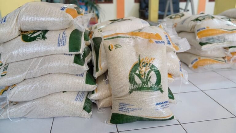 Optimalisasi Bantuan Pangan: Penyangga di Tengah Gejolak Dunia