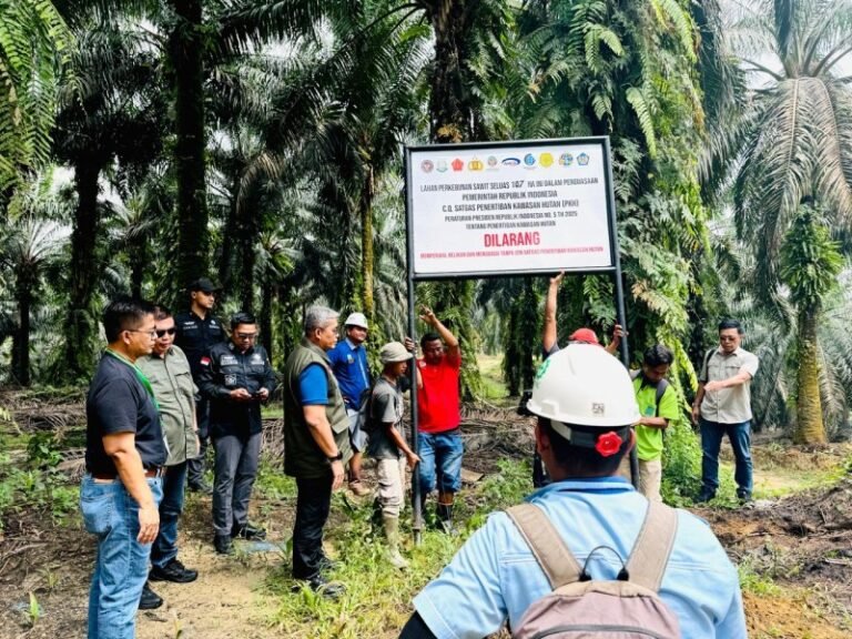 Penyerahan Dana Penertiban Kawasan Hutan Perkuat Komitmen Jaga Kekayaan Negara