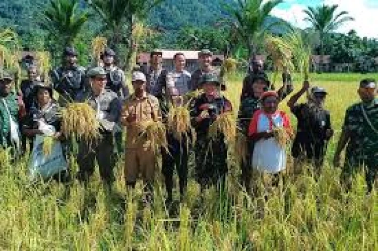 Otonomi Khusus Papua Pilar Strategis Mewujudkan Kesejahteraan dan Indonesia Emas 2045