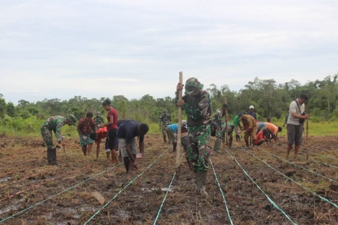 Pemerintah Perkuat Ketahanan Pangan Papua Lewat Sinergi Distribusi dan Pemberdayaan Masyarakat