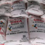 Harga Pupuk Subsidi Dijaga, Petani Tetap Terlindungi dari Dampak Global