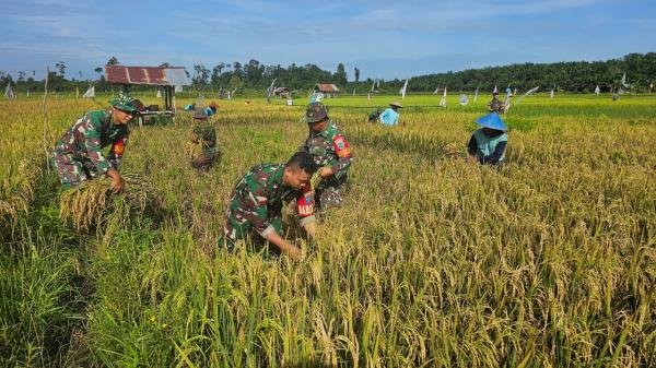 Kehadiran TNI Optimalkan Program Swasembada Pangan dan Tekan Ketergantungan Impor