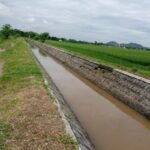 Optimalisasi Program 3T Irigasi Perkuat Ketahanan Pangan Nasional