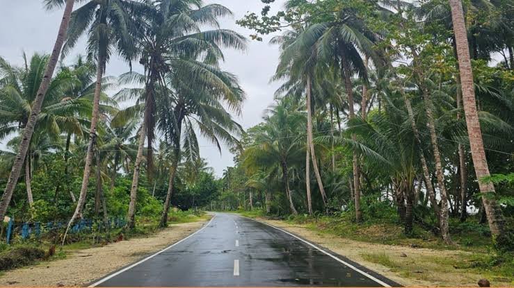 Pembangunan Jalan dan Listrik Percepat Transformasi Papua yang Maju dan Sejahtera