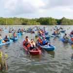 Pemerintah Dorong Mangrove Jadi Sumber Ekonomi Hijau dan Lapangan Kerja Baru