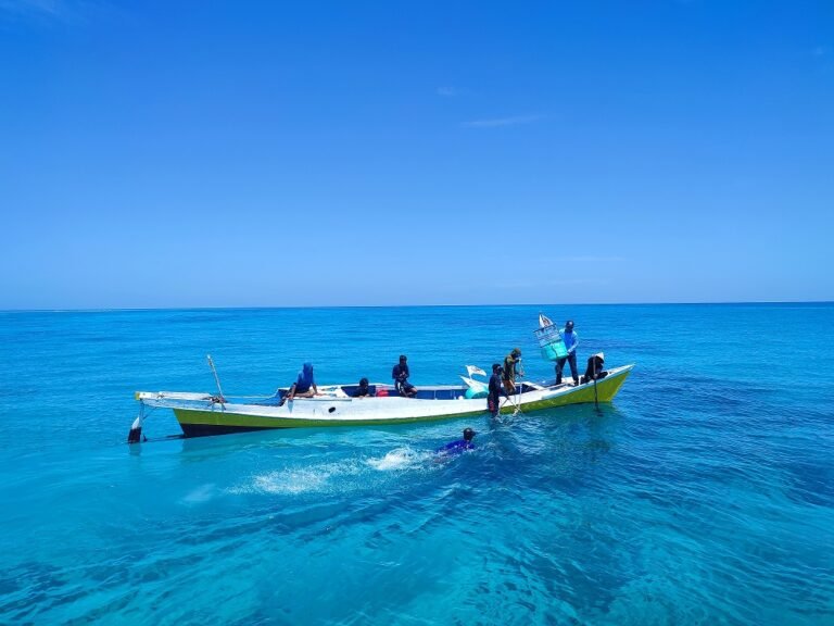 Ocean Institute of Indonesia: Jalan Baru Membangun Ekonomi Biru Nasional