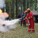Gerak Cepat Pusat dan Daerah Hadapi Karhutla